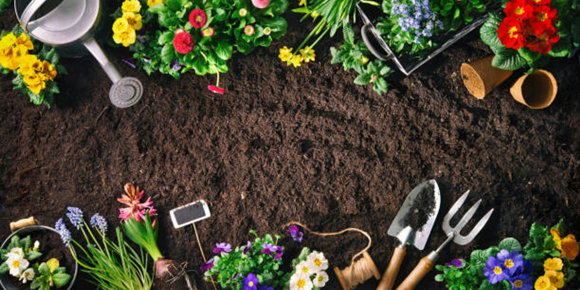 Okładka Wiosenne Przygody w Naszym Przedszkolnym Ogrodzie: Jak Stworzyć Mały Raj Roślinny dla Dzieci